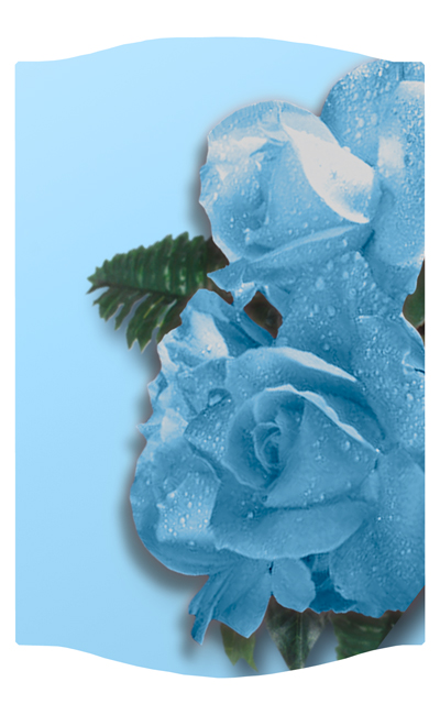 DNSLOG C 061 Bouquet Of Roses Blue 
